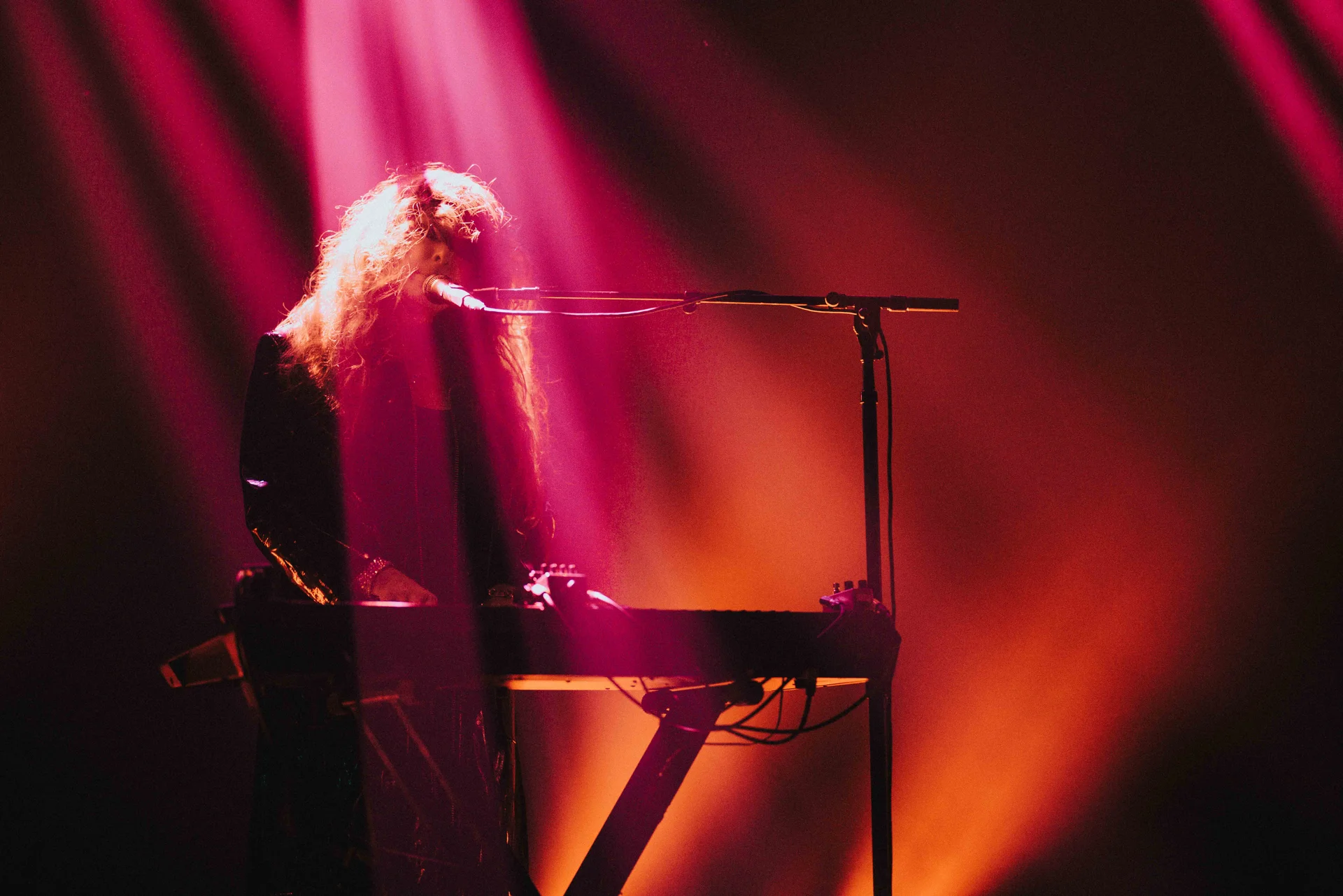 Beach House Concert - photo 2 of 38