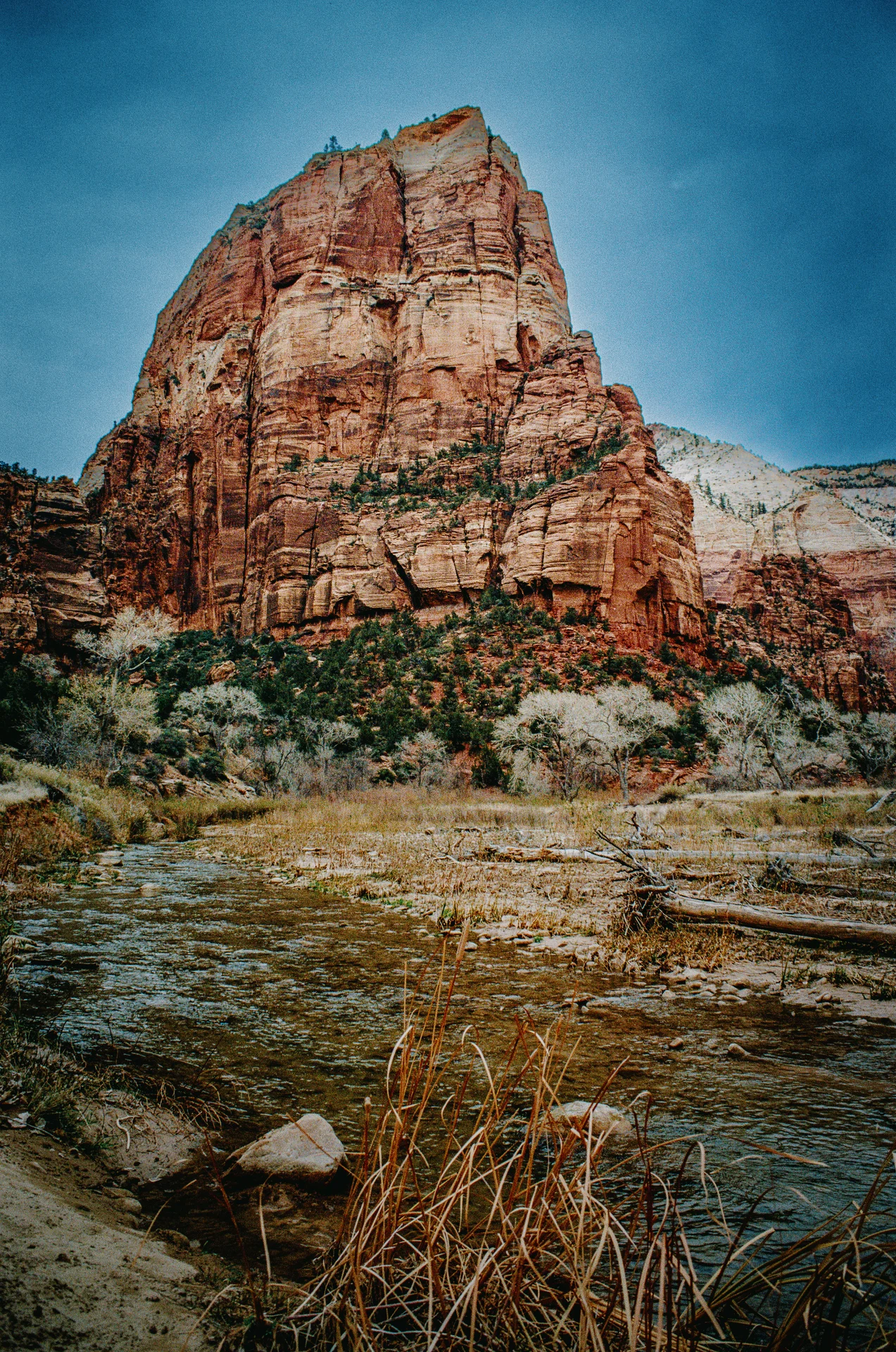 American Landscapes - photo 19 of 63