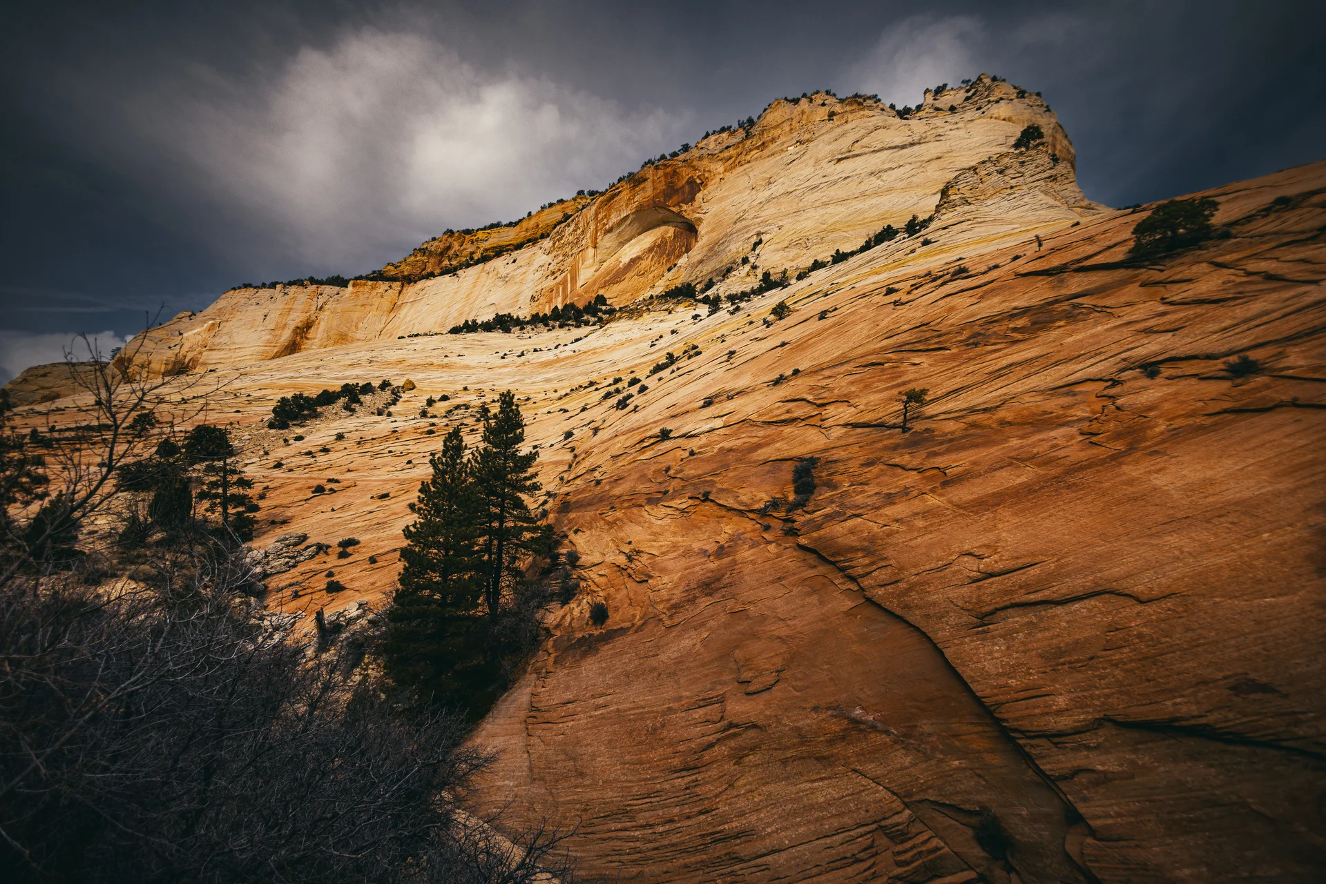 American Landscapes - photo 48 of 63
