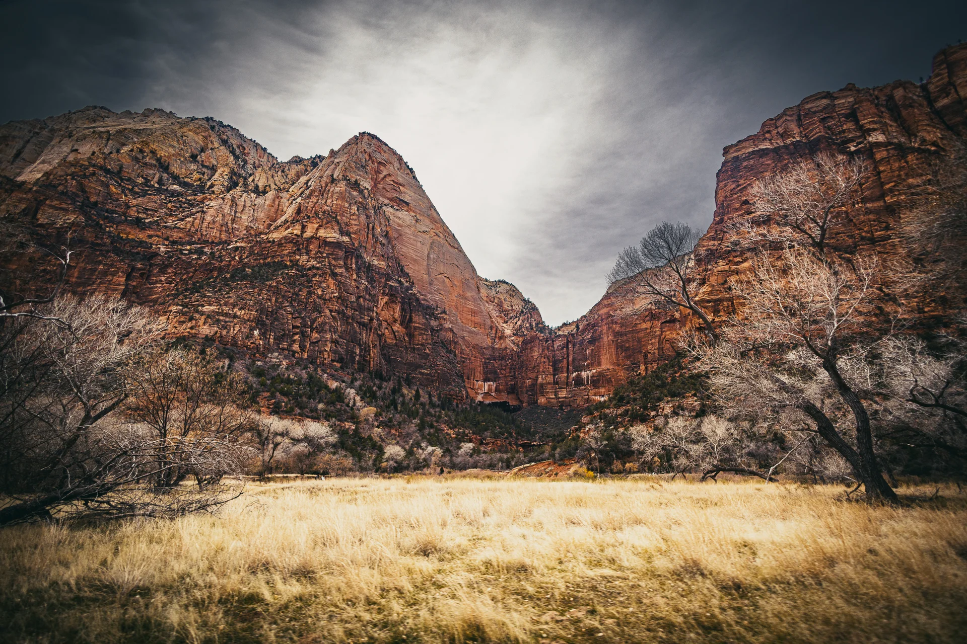 American Landscapes - photo 51 of 63